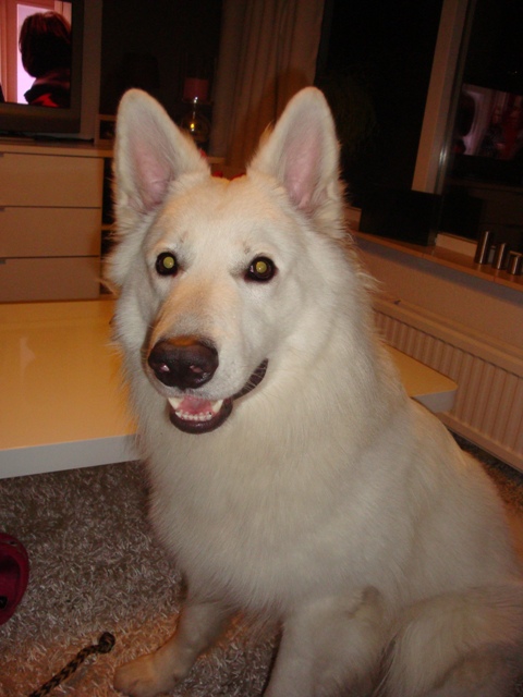 Fotos/bink/2011/15_maanden[1].JPG